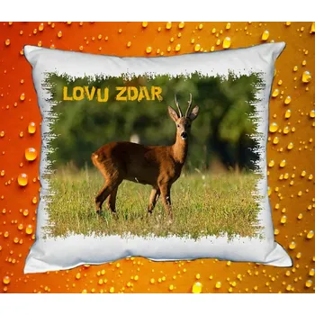 Dekorativní polštářek Polštářek pro myslivce č. 38