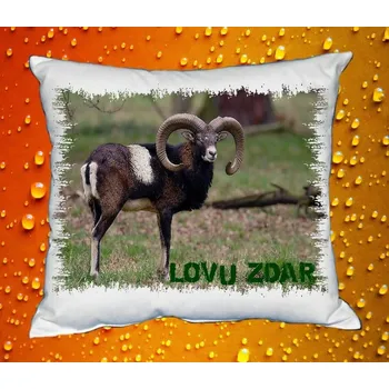 Dekorativní polštářek Polštářek pro myslivce č. 17