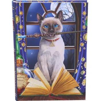 Zápisník Diář s kočkou kouzelnicí - design Lisa Parker