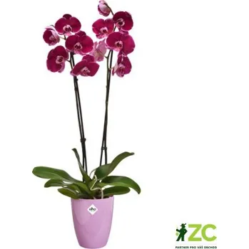 Obal na květináč Obal Brussels Diamond Orchid High - vivid violet 12,5 cm