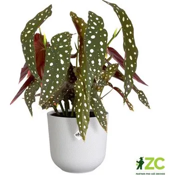 Obal na květináč Obal Jazz - silky white 14 cm