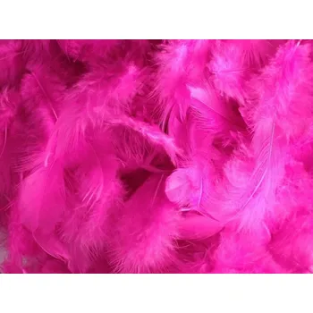 Svatební dekorace Svatba-eshop Dekorační peří fuchsiové - peříčka fuchsiová