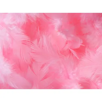Svatební dekorace Svatba-eshop Dekorační peří světle růžové - peříčka světle růžová
