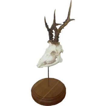 Podložka pod trofej srnce na postavení č.161