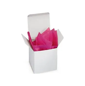 Jednorázové nádobí Papírové krabičky bílé 50 x 50 x 70 mm - Balení po 1 ks