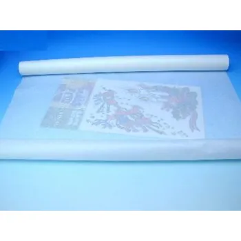 Balící papír CARTA Papír střihový 0,70/10m role 400814