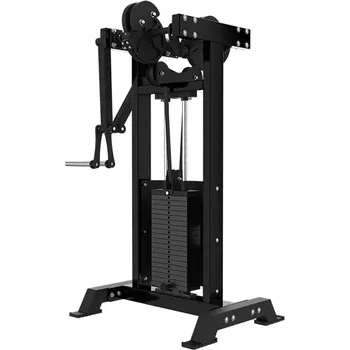 TRUESTEEL Stroj na rozpažování vstoje Lateral Raise Barva na míru