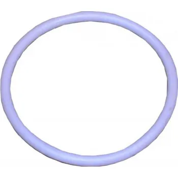 Těsnění čerpadla 105 x 7