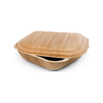 Jednorázové nádobí Box s víčkem z palmových listů 20x20x6 cm - 500 ml