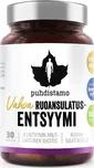 Puhdistamo Super Digestive Enzymes