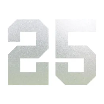 Polep vozidla Startovní číslo 25 (60 - pískované sklo) SAMOLEPKA NA AUTO, NÁLEPKA, FÓLIE, POLEP, TUNING, VLASTNÍ TEXT, TISK, AUTOSAMOLEPKY.cz, POLEPY, OBRÁZEK, LOGO, 3D STICKERS