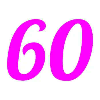 Polep vozidla Startovní číslo 60 typ 3 (72 - Fluorescentní růžová) SAMOLEPKA NA AUTO, NÁLEPKA, FÓLIE, POLEP, TUNING, VLASTNÍ TEXT, TISK, AUTOSAMOLEPKY.cz, POLEPY, OBRÁZEK, LOGO, 3D STICKERS