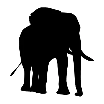 Samolepící dekorace SAMOLEPKA Slon 009 pravá (01 - černá) NA AUTO, NÁLEPKA, FÓLIE, POLEP, TUNING, VLASTNÍ TEXT, TISK, AUTOSAMOLEPKY.cz, POLEPY, OBRÁZEK, LOGO, SAMOLEPKY