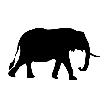 Samolepící dekorace SAMOLEPKA Slon 014 pravá (01 - černá) NA AUTO, NÁLEPKA, FÓLIE, POLEP, TUNING, VLASTNÍ TEXT, TISK, AUTOSAMOLEPKY.cz, POLEPY, OBRÁZEK, LOGO, SAMOLEPKY