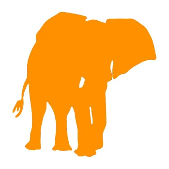 Samolepící dekorace SAMOLEPKA Slon 013 pravá (06 - oranžová) NA AUTO, NÁLEPKA, FÓLIE, POLEP, TUNING, VLASTNÍ TEXT, TISK, AUTOSAMOLEPKY.cz, POLEPY, OBRÁZEK, LOGO, SAMOLEPKY