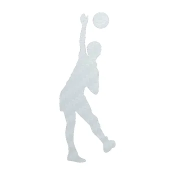 Samolepicí dekorace na vozidlo Voleybal 011 pravá (51 - 3D karbon bílý) SAMOLEPKA NA AUTO, NÁLEPKA, FÓLIE, POLEP, TUNING, VLASTNÍ TEXT, TISK, AUTOSAMOLEPKY.cz, POLEPY, OBRÁZEK, LOGO, 3D STICKERS