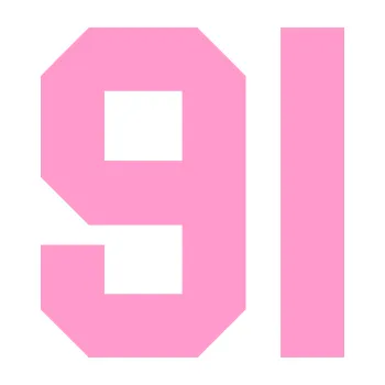 Polep vozidla Startovní číslo 91 (24 - světle růžová) SAMOLEPKA NA AUTO, NÁLEPKA, FÓLIE, POLEP, TUNING, VLASTNÍ TEXT, TISK, AUTOSAMOLEPKY.cz, POLEPY, OBRÁZEK, LOGO, 3D STICKERS