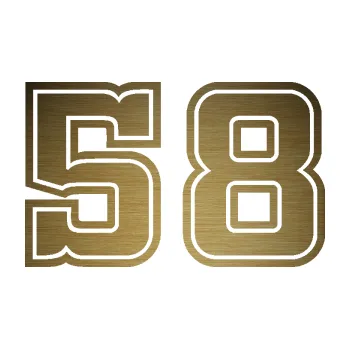 Polep vozidla Startovní číslo 58 typ 5 (64 - škrábaný kov zlatý) SAMOLEPKA NA AUTO, NÁLEPKA, FÓLIE, POLEP, TUNING, VLASTNÍ TEXT, TISK, AUTOSAMOLEPKY.cz, POLEPY, OBRÁZEK, LOGO, 3D STICKERS