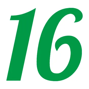 Polep vozidla Startovní číslo 16 typ 3 (12 - zelená) SAMOLEPKA NA AUTO, NÁLEPKA, FÓLIE, POLEP, TUNING, VLASTNÍ TEXT, TISK, AUTOSAMOLEPKY.cz, POLEPY, OBRÁZEK, LOGO, 3D STICKERS