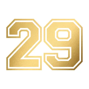 Polep vozidla Startovní číslo 29 typ 4 (43 - zlatá metalíza) SAMOLEPKA NA AUTO, NÁLEPKA, FÓLIE, POLEP, TUNING, VLASTNÍ TEXT, TISK, AUTOSAMOLEPKY.cz, POLEPY, OBRÁZEK, LOGO, 3D STICKERS