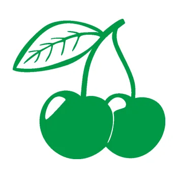 Samolepící dekorace Třešně 003 levá (12 - zelená) SAMOLEPKA NA AUTO, NÁLEPKA, FÓLIE, POLEP, TUNING, VLASTNÍ TEXT, TISK, AUTOSAMOLEPKY.cz, POLEPY, OBRÁZEK, LOGO, 3D STICKERS