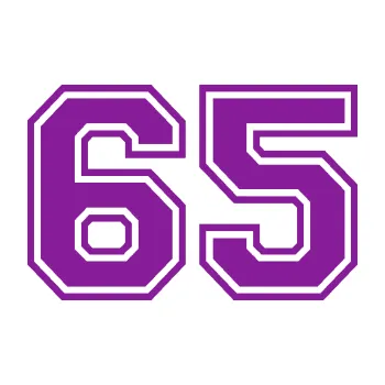 Polep vozidla Startovní číslo 65 typ 4 (14 - fialová) SAMOLEPKA NA AUTO, NÁLEPKA, FÓLIE, POLEP, TUNING, VLASTNÍ TEXT, TISK, AUTOSAMOLEPKY.cz, POLEPY, OBRÁZEK, LOGO, 3D STICKERS