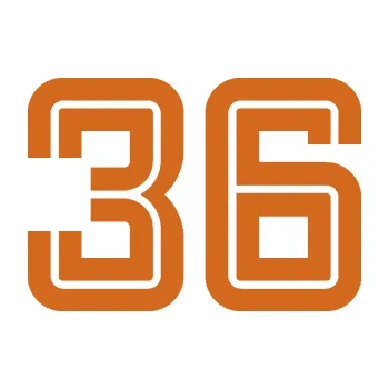 Polep vozidla Startovní číslo 36 typ 7 (26 - oříšková) SAMOLEPKA NA AUTO, NÁLEPKA, FÓLIE, POLEP, TUNING, VLASTNÍ TEXT, TISK, AUTOSAMOLEPKY.cz, POLEPY, OBRÁZEK, LOGO, 3D STICKERS