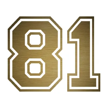 Polep vozidla Startovní číslo 81 typ 4 (64 - škrábaný kov zlatý) SAMOLEPKA NA AUTO, NÁLEPKA, FÓLIE, POLEP, TUNING, VLASTNÍ TEXT, TISK, AUTOSAMOLEPKY.cz, POLEPY, OBRÁZEK, LOGO, 3D STICKERS
