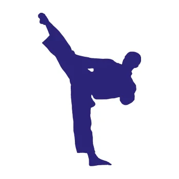 Polep vozidla Taekwondo 002 levá (22 - střední modrá) SAMOLEPKA NA AUTO, NÁLEPKA, FÓLIE, POLEP, TUNING, VLASTNÍ TEXT, TISK, AUTOSAMOLEPKY.cz, POLEPY, OBRÁZEK, LOGO, 3D STICKERS