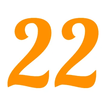 Polep vozidla Startovní číslo 22 typ 3 (06 - oranžová) SAMOLEPKA NA AUTO, NÁLEPKA, FÓLIE, POLEP, TUNING, VLASTNÍ TEXT, TISK, AUTOSAMOLEPKY.cz, POLEPY, OBRÁZEK, LOGO, 3D STICKERS