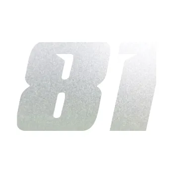 Polep vozidla Startovní číslo 81 typ 6 (60 - pískované sklo) SAMOLEPKA NA AUTO, NÁLEPKA, FÓLIE, POLEP, TUNING, VLASTNÍ TEXT, TISK, AUTOSAMOLEPKY.cz, POLEPY, OBRÁZEK, LOGO, 3D STICKERS