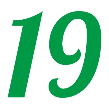 Polep vozidla Startovní číslo 19 typ 3 (12 - zelená) SAMOLEPKA NA AUTO, NÁLEPKA, FÓLIE, POLEP, TUNING, VLASTNÍ TEXT, TISK, AUTOSAMOLEPKY.cz, POLEPY, OBRÁZEK, LOGO, 3D STICKERS