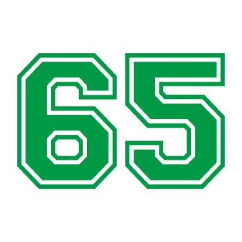 Polep vozidla Startovní číslo 65 typ 4 (12 - zelená) SAMOLEPKA NA AUTO, NÁLEPKA, FÓLIE, POLEP, TUNING, VLASTNÍ TEXT, TISK, AUTOSAMOLEPKY.cz, POLEPY, OBRÁZEK, LOGO, 3D STICKERS