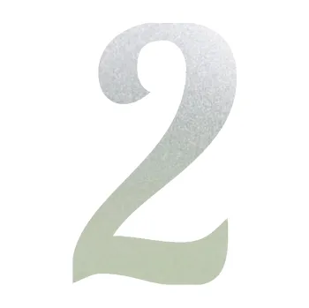 Polep vozidla Startovní číslo 2 typ 3 (60 - pískované sklo) SAMOLEPKA NA AUTO, NÁLEPKA, FÓLIE, POLEP, TUNING, VLASTNÍ TEXT, TISK, AUTOSAMOLEPKY.cz, POLEPY, OBRÁZEK, LOGO, 3D STICKERS