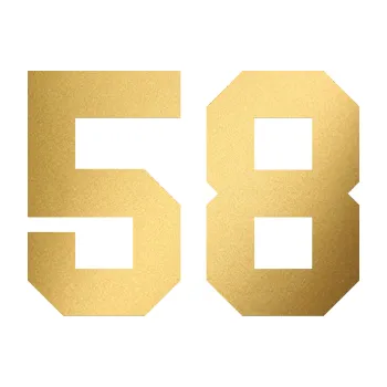 Polep vozidla Startovní číslo 58 (43 - zlatá metalíza) SAMOLEPKA NA AUTO, NÁLEPKA, FÓLIE, POLEP, TUNING, VLASTNÍ TEXT, TISK, AUTOSAMOLEPKY.cz, POLEPY, OBRÁZEK, LOGO, 3D STICKERS