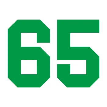 Polep vozidla Startovní číslo 65 (12 - zelená) SAMOLEPKA NA AUTO, NÁLEPKA, FÓLIE, POLEP, TUNING, VLASTNÍ TEXT, TISK, AUTOSAMOLEPKY.cz, POLEPY, OBRÁZEK, LOGO, 3D STICKERS