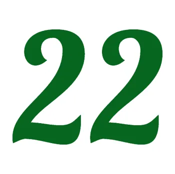 Polep vozidla Startovní číslo 22 typ 3 (20 - tmavě zelená) SAMOLEPKA NA AUTO, NÁLEPKA, FÓLIE, POLEP, TUNING, VLASTNÍ TEXT, TISK, AUTOSAMOLEPKY.cz, POLEPY, OBRÁZEK, LOGO, 3D STICKERS