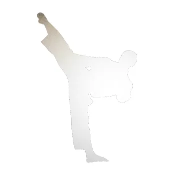 Polep vozidla Taekwondo 002 levá (82 - odrazková reflexní bílá) SAMOLEPKA NA AUTO, NÁLEPKA, FÓLIE, POLEP, TUNING, VLASTNÍ TEXT, TISK, AUTOSAMOLEPKY.cz, POLEPY, OBRÁZEK, LOGO, 3D STICKERS