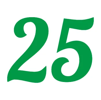 Polep vozidla Startovní číslo 25 typ 3 (12 - zelená) SAMOLEPKA NA AUTO, NÁLEPKA, FÓLIE, POLEP, TUNING, VLASTNÍ TEXT, TISK, AUTOSAMOLEPKY.cz, POLEPY, OBRÁZEK, LOGO, 3D STICKERS