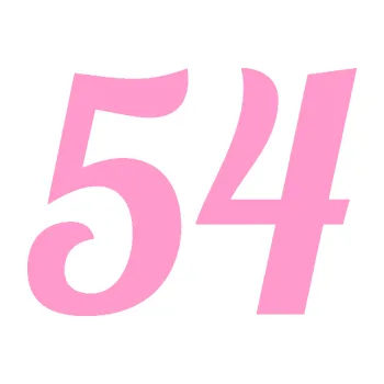 Polep vozidla Startovní číslo 54 typ 3 (24 - světle růžová) SAMOLEPKA NA AUTO, NÁLEPKA, FÓLIE, POLEP, TUNING, VLASTNÍ TEXT, TISK, AUTOSAMOLEPKY.cz, POLEPY, OBRÁZEK, LOGO, 3D STICKERS