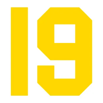 Polep vozidla Startovní číslo 19 (13 - jasně žlutá) SAMOLEPKA NA AUTO, NÁLEPKA, FÓLIE, POLEP, TUNING, VLASTNÍ TEXT, TISK, AUTOSAMOLEPKY.cz, POLEPY, OBRÁZEK, LOGO, 3D STICKERS