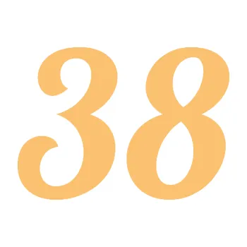 Polep vozidla SAMOLEPKA Startovní číslo 38 typ 3 (08 - béžová) NA AUTO, NÁLEPKA, FÓLIE, POLEP, TUNING, VLASTNÍ TEXT, TISK, AUTOSAMOLEPKY.cz, POLEPY, OBRÁZEK, LOGO, SAMOLEPKY