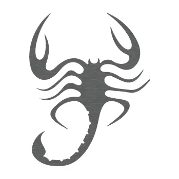 Polep vozidla Štír 002 levá (62 - škrábaný titan) SAMOLEPKA NA AUTO, NÁLEPKA, FÓLIE, POLEP, TUNING, VLASTNÍ TEXT, TISK, AUTOSAMOLEPKY.cz, POLEPY, OBRÁZEK, LOGO, 3D STICKERS