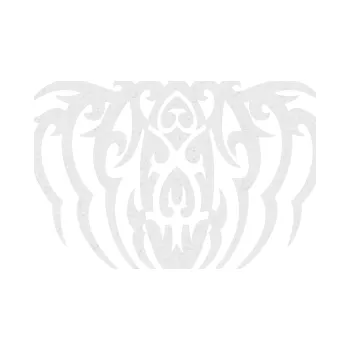 Polep vozidla SAMOLEPKA Tetování 210 (84 - Ultra Metalic bílá) NA AUTO, NÁLEPKA, FÓLIE, POLEP, TUNING, VLASTNÍ TEXT, TISK, AUTOSAMOLEPKY.cz, POLEPY, OBRÁZEK, LOGO, SAMOLEPKY