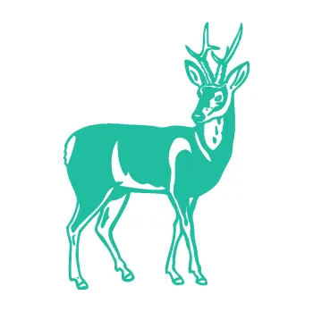 Samolepící dekorace Srnec 005 pravá (25 - tyrkysová) SAMOLEPKA NA AUTO, NÁLEPKA, FÓLIE, POLEP, TUNING, VLASTNÍ TEXT, TISK, AUTOSAMOLEPKY.cz, POLEPY, OBRÁZEK, LOGO, 3D STICKERS