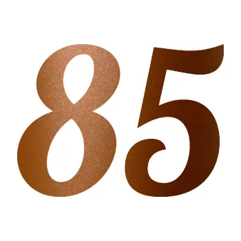 Polep vozidla Startovní číslo 85 typ 3 (44 - měděná metalíza) SAMOLEPKA NA AUTO, NÁLEPKA, FÓLIE, POLEP, TUNING, VLASTNÍ TEXT, TISK, AUTOSAMOLEPKY.cz, POLEPY, OBRÁZEK, LOGO, 3D STICKERS