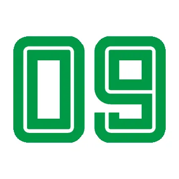 Polep vozidla Startovní číslo 09 typ 7 (12 - zelená) SAMOLEPKA NA AUTO, NÁLEPKA, FÓLIE, POLEP, TUNING, VLASTNÍ TEXT, TISK, AUTOSAMOLEPKY.cz, POLEPY, OBRÁZEK, LOGO, 3D STICKERS