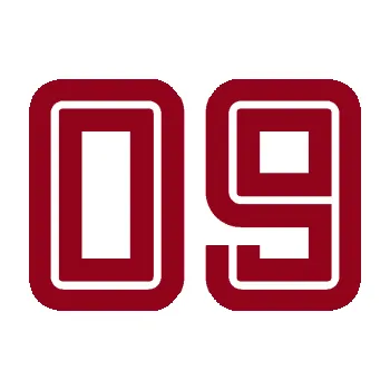 Polep vozidla Startovní číslo 09 typ 7 (07 - bordó vínová) SAMOLEPKA NA AUTO, NÁLEPKA, FÓLIE, POLEP, TUNING, VLASTNÍ TEXT, TISK, AUTOSAMOLEPKY.cz, POLEPY, OBRÁZEK, LOGO, 3D STICKERS