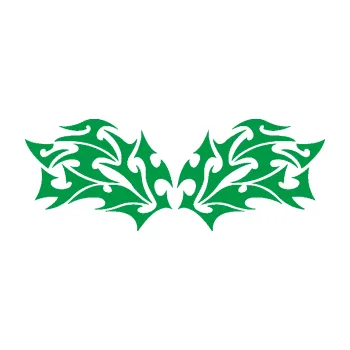 Polep vozidla Tetování 196 (12 - zelená) SAMOLEPKA NA AUTO, NÁLEPKA, FÓLIE, POLEP, TUNING, VLASTNÍ TEXT, TISK, AUTOSAMOLEPKY.cz, POLEPY, OBRÁZEK, LOGO, 3D STICKERS