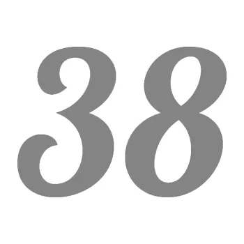 Polep vozidla Startovní číslo 38 typ 3 (17 - šedá) SAMOLEPKA NA AUTO, NÁLEPKA, FÓLIE, POLEP, TUNING, VLASTNÍ TEXT, TISK, AUTOSAMOLEPKY.cz, POLEPY, OBRÁZEK, LOGO, 3D STICKERS